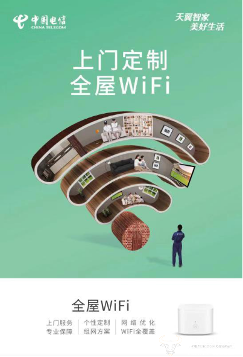 麦全网络:助力品牌翱翔数字天空